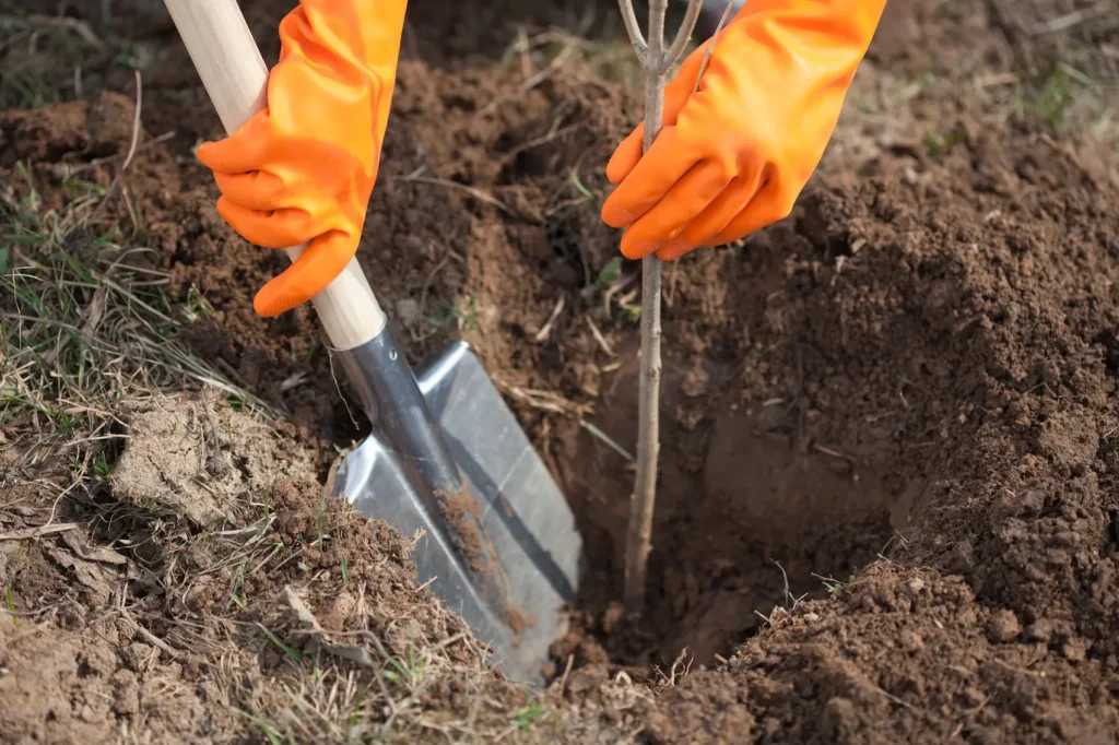 excavation services Nicholasville KY