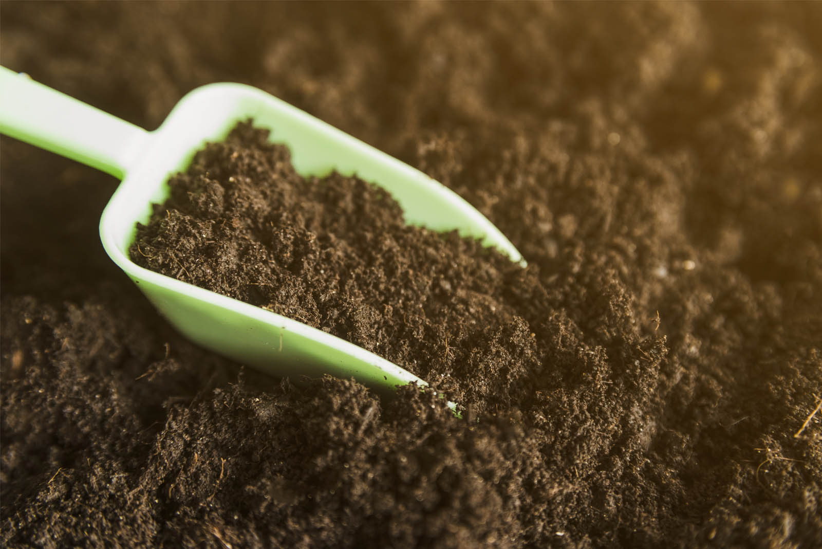 Landscaping Topsoil