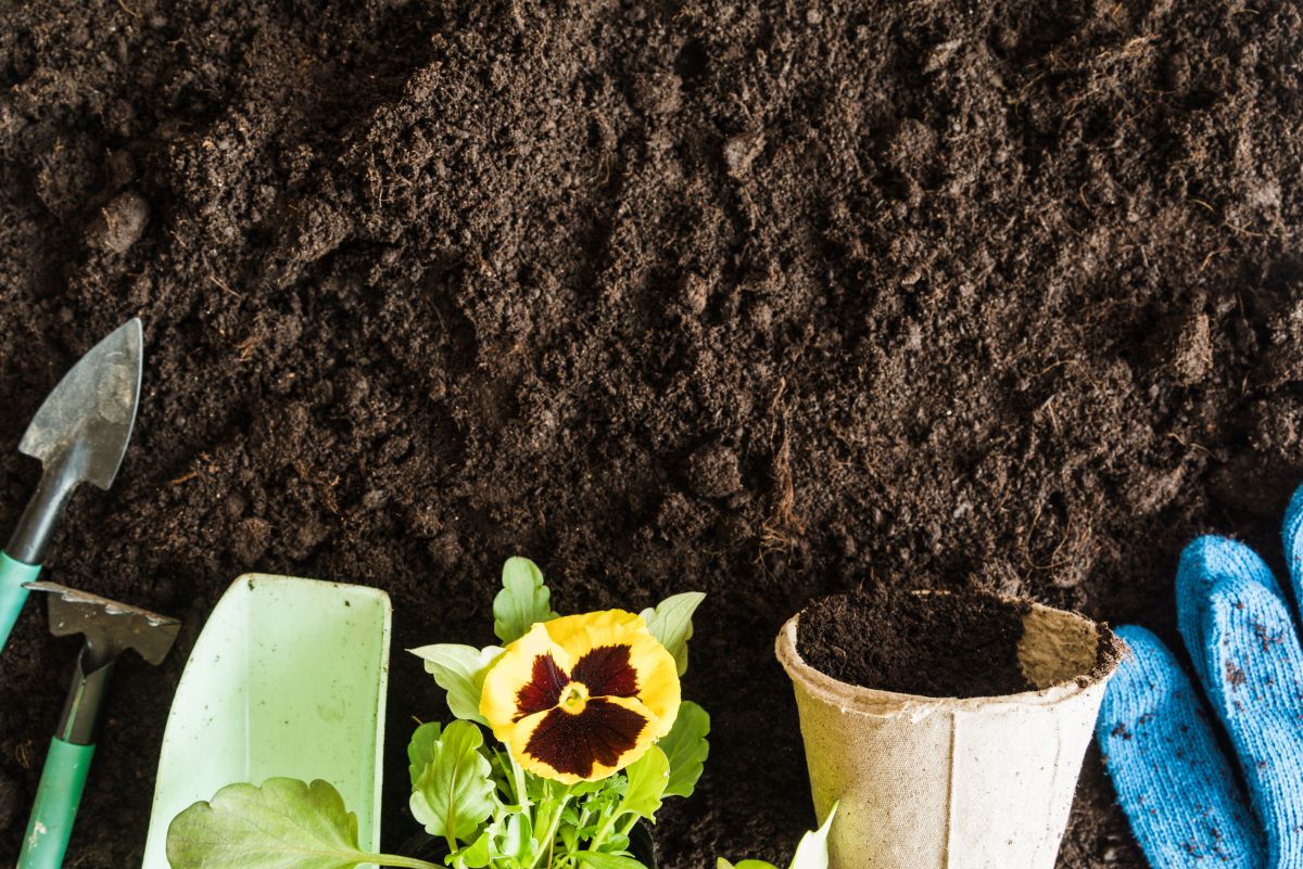 topsoil for landscaping Nicholasville KY